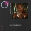 Soothing Flute: Road to Inner Peace