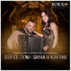 Sta Ce Zena Sama U Kafani - Single