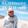 We Need Love in the Air (feat. Fiji) - Single