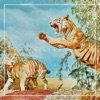 Do It Like This - Single