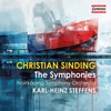 Norrkoping Symphony Orchestra, Dima Slobodeniouk & Lars Anders Tomter - Symphony No. 2 in D Major, Op. 83: II. Andante