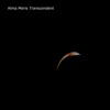 Transcendent - Single