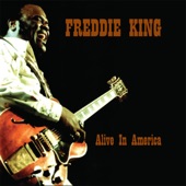 Freddie King - Have You Ever Loved a Woman