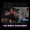 Te Sigo Amando - Single