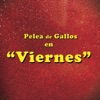 Pelea de Gallos - Viernes