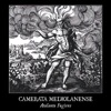 Corallus - Single