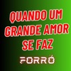 Quando um Grande Amor Se Faz - Forró - Single