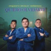 ORQUESTA BRISLEY HERMANOS - Quiero Olvidarte