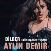 Dilber Evin Barkın Yokmu - Single