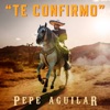 Te Confirmo - Single