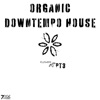 Organic Downtempo Flower House, Pt. 3