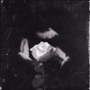 Roses - Single, 2024
