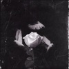 Roses - Single