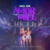 Mix De Amor y De Miel: Y Siempre / De Amor y De Miel / Tú La Tienes Que Pagar / Noches De Media Luna (En Vivo) - Single