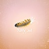 NightOwl - 渡羽