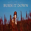 Burn It Down - Single