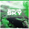 Birds In The Sky (Sam Green Remix) - Single