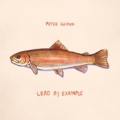 Lead By Example by Peter Glynn