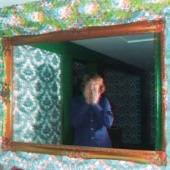 Ty Segall - The Picture