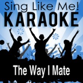 The Way I Mate (Karaoke Version) [Originally Performed By Rednex] artwork