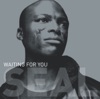 Seal - Waiting for you (29 Palms remix)