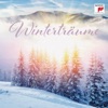 Tim Story - Requiem, Op. 48: III. Sanctus