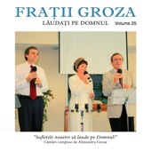 Laudati pe Domnul (Vol. 25) artwork