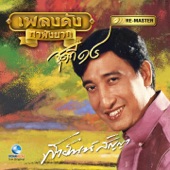 เพลงดัง สายัณห์ สัญญา, Vol. 14 artwork