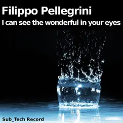 I Can See the Wonderful in Your Eyes - Single by Filippo Pellegrini album reviews, ratings, credits