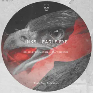 Album herunterladen Jnks - Eagle Eye