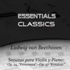 Beethoven - Violin Sonatas No, 5 Op. 24 "Spring" & No. 9 Op. 47 "Kreutzer" album lyrics, reviews, download