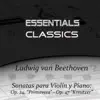 Stream & download Beethoven - Violin Sonatas No, 5 Op. 24 "Spring" & No. 9 Op. 47 "Kreutzer"