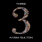 Kasim Sulton - Fell in Love for the Last Time