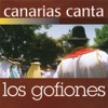 Canarias Canta