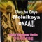 Anyi Lusia Anya Ana - Chief Stephen Osita Osadebe lyrics