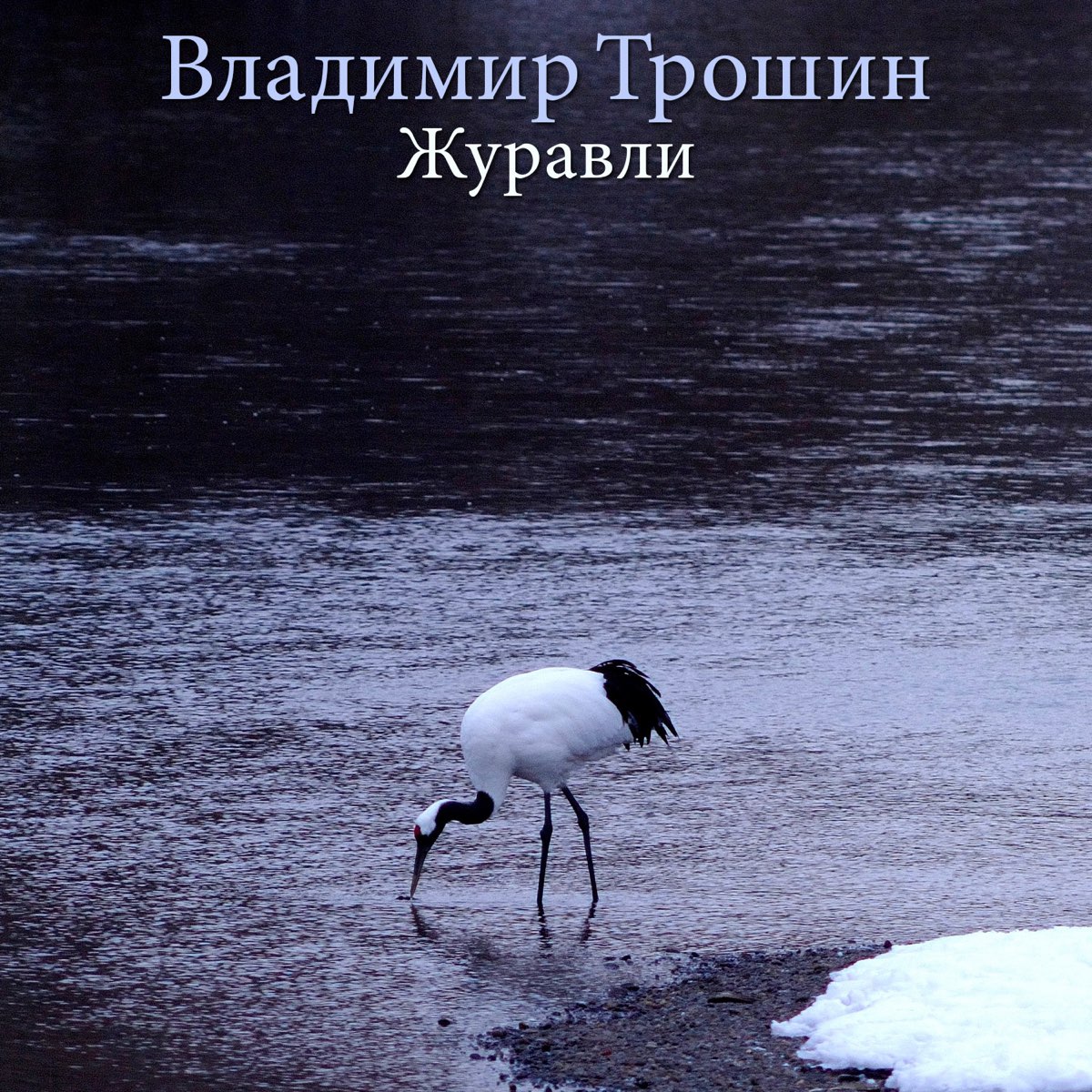 Нарисуй журавлика шуфутинский слушать онлайн бесплатно