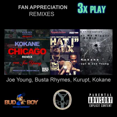 Fan Appreciation Remixes 3x Play (feat. Joe Young) - Single - Kokane