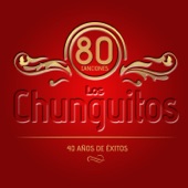 Los Chunguitos. 80 Canciones. 40 Años de Éxitos artwork