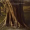 A Simple Lullaby - The Devin Townsend Band lyrics