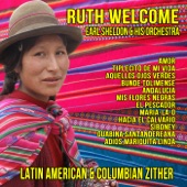 Latin American and Columbian Zither artwork