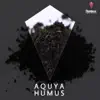 Humus - Single album lyrics, reviews, download