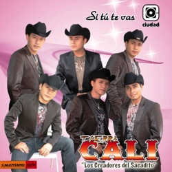 Tierra Cali - Déjame