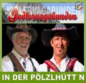 In Der Pölzlhütt´n - Single