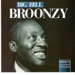 Big Bill Broonzy - Big Bill Broonzy