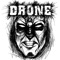 Into Darkness - Drone lyrics