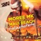 Feeling the Party (feat. Maui Beach) [Radio Mix] - Moree MK lyrics