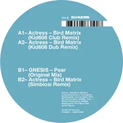 Bird Matrix (Remixes) - EP by Actress album reviews, ratings, credits