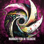 Mariachi Flor De Toloache artwork