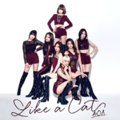 Like a Cat by AOA