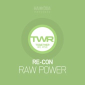 Raw Power artwork